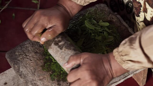 An Asian woman grinds leaves from the henna tree to make henna paste