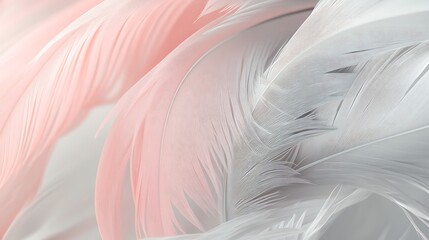 Fototapeta premium Soft Pink and White Feathers Abstract Background Texture