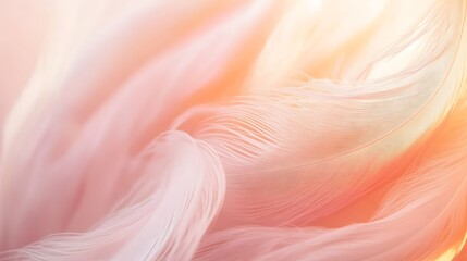 Soft Pink and Orange Feather Texture Background