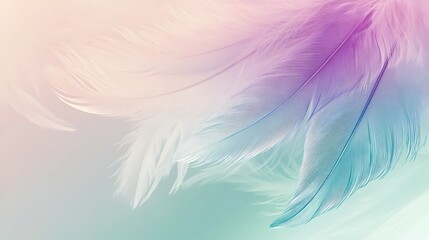 Obraz premium Soft Pastel Feathers Abstract Background