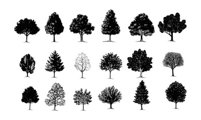 Fototapeta premium Tree icon vector set. Nature illustration sign collection