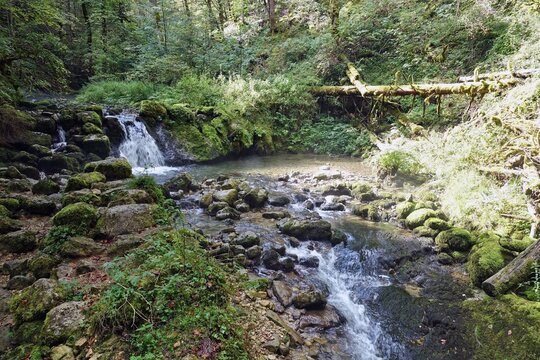 Superbe randonn&eacute;e autour de Pr&eacute;manon dans le Jura, avec la cascade du Bief de la Chaille et le pont Perroud