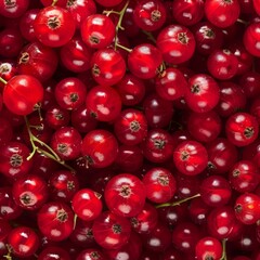 Red currant berries texture background, Ribes rubrum fruits pattern, many redcurrant mockup, pink berries