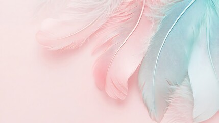 Naklejka premium Delicate Pastel Pink and Blue Feathers on Pink Background