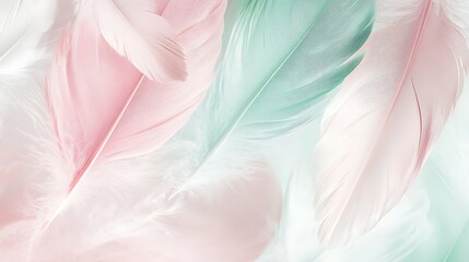 Fototapeta premium Soft Pastel Pink and Mint Green Feathers Background Texture