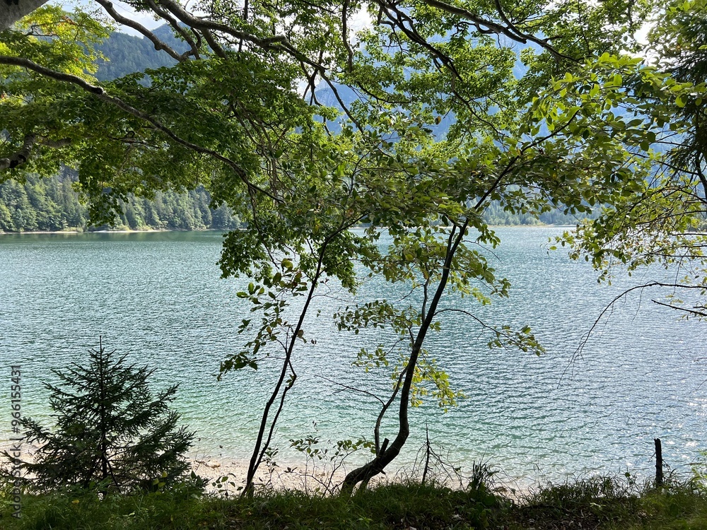 Wall mural early autumn over the alpine lake lago del predil or lago di raibl (cave del predil lake) - inizio a