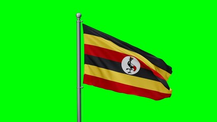 Republic of Uganda flag waving in the wind with colored chroma key with green background