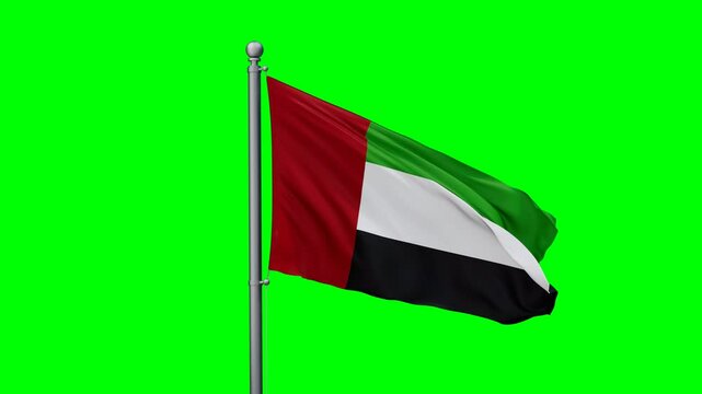 United Arab Emirates flag waving in the wind with colored chroma key with green background