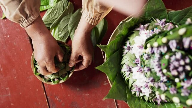 An asian woman prepares ingredients for betel nut chewing also called betel quid chewing or areca nut chewing