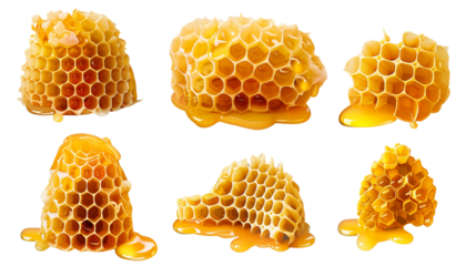 Honeycomb Mockup