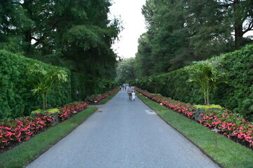 path in the garden