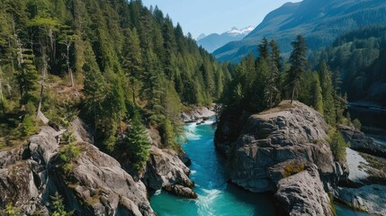 Aerial View of a River Winding Through a Lush Forest