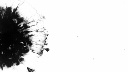 Super Slow Motion Shot of Black Ink Drop Isolated on White Background at 1000 fps.