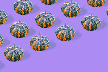 Pattern with pumpkin on purple background. Creative halloween or thanksgiving wallpaper with copy space.	