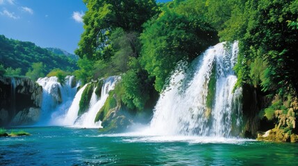 Waterfall in a Lush Forest