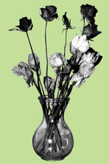 close up of dried roses in vase pixelate color halftone dotted texture style collage element isolated on green background