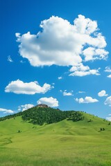 Obraz premium A mountain is in the background of a field of green grass. The sky is clear and blue with a few clouds