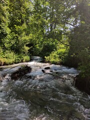 Obraz premium waterfall in the forest