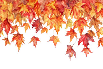 Fototapeta premium PNG Maple leaves plant leaf tree.