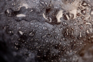 close-up of purple plum fruits in drops of water