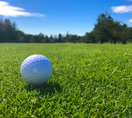 Golf Ball on Tee at Golf Course with Lush Green Grass and Blue Sky