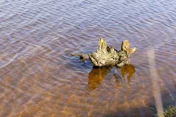 dark muddy lake water in winter without snow