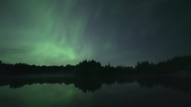 Two shooting stars among full-sky auroras, real-time video