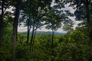 Scenic landscape of foggy morning in the Great Smoky Mountains of Georgia and North Carolina