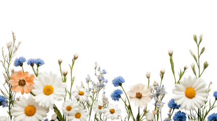 A vibrant display of assorted flowers, showcasing beautiful blooms and lush greenery, perfect for seasonal designs and art projects.