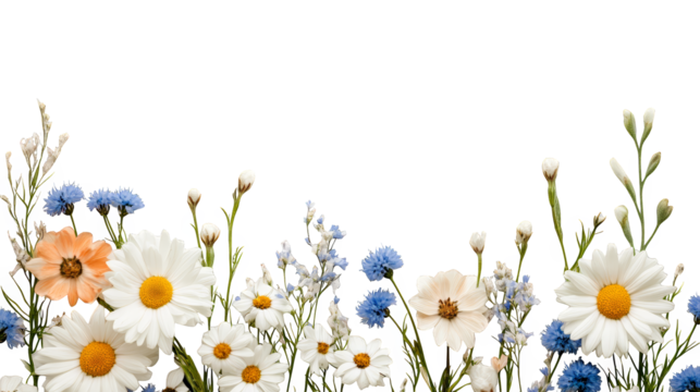 A vibrant display of assorted flowers, showcasing beautiful blooms and lush greenery, perfect for seasonal designs and art projects.