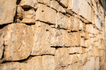 Close-up of old stone texture, featuring weathered, rough surfaces with natural cracks and irregularities, perfect for backgrounds, architecture, or historical designs.
