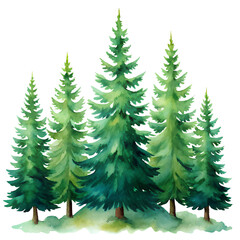 Obraz premium Green pine trees illustration on white background