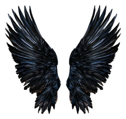Obraz premium PNG Wide black wings on white backdrop