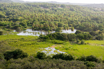 Lagos e verde natureza