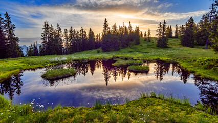 Fototapeta premium Romantische Stimmungen am Rossbrand