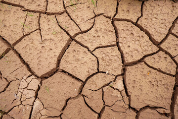 Cracked soil arid land with dry and cracked ground desert texture background, serious water shortages. Global warming concept. Close up.