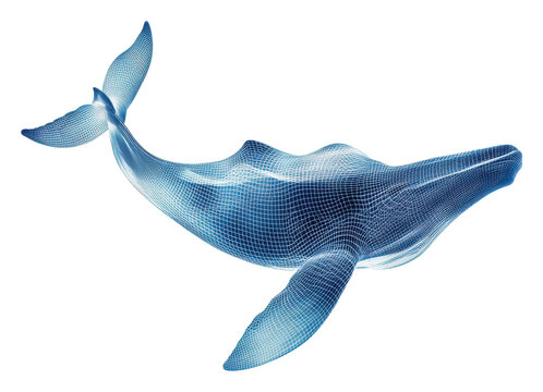 PNG Wireframe design of a blue whale