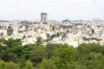 A view of buildings from a jungle