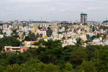 Obraz premium A view of buildings from a jungle
