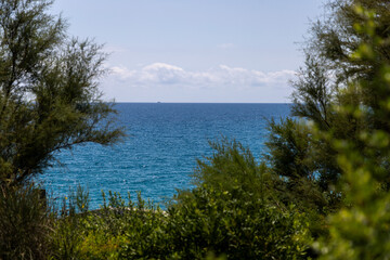 boat on in the sea 