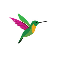 A flying Hummingbird vector illustration clipart,  white background