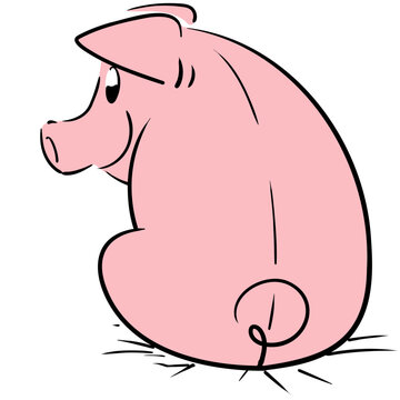 Cute pig sitting looking back very smiling and happy