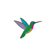 Obraz premium A flying Hummingbird vector illustration clipart, white background