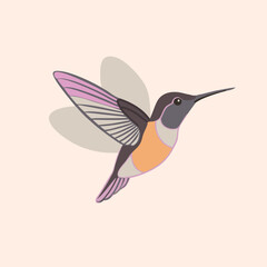 A flying Hummingbird vector illustration clipart,  white background