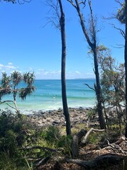 Sunny Noosa