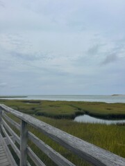Fototapeta premium Grays beach, Cape Cod 