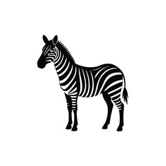 A standing zebra   vector illustration clipart, black color silhouette, white background 