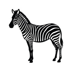 Obraz premium A standing zebra vector illustration clipart, black color silhouette, white background 