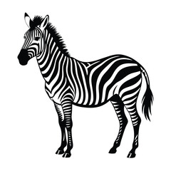 Obraz premium A standing zebra vector illustration clipart, black color silhouette, white background 