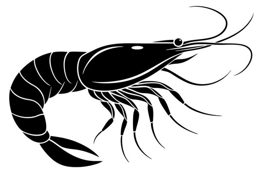 recommend clip art: shrimp vector silhouette, shrimp icon vector, Sea lobster	